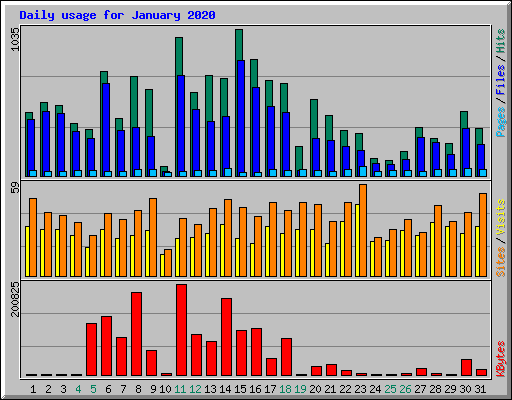 Daily usage for January 2020