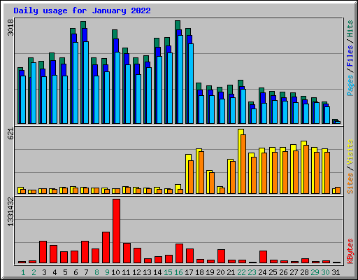 Daily usage for January 2022