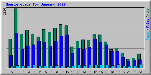 Hourly usage for January 2020