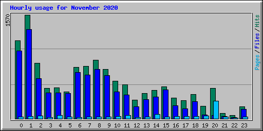 Hourly usage for November 2020
