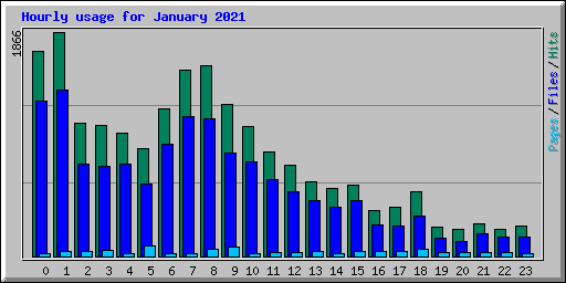 Hourly usage for January 2021
