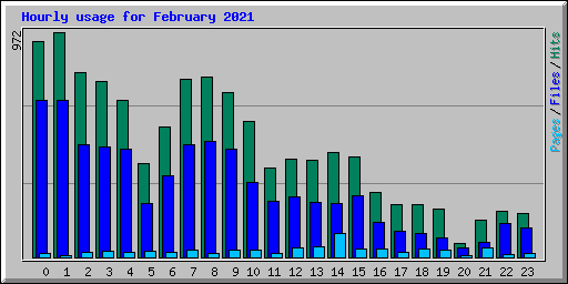 Hourly usage for February 2021