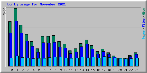 Hourly usage for November 2021