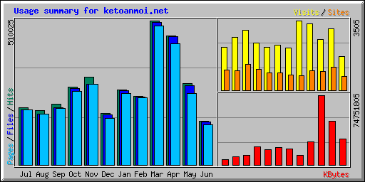 Usage summary for ketoanmoi.net